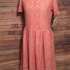 2X Amelia